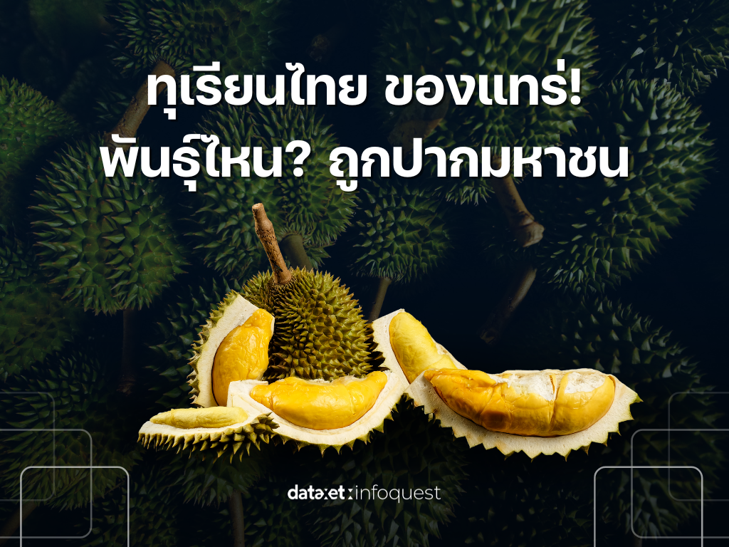 ทุเรียนไทย ของแทร่! พันธุ์ไหน? ถูกปากมหาชน